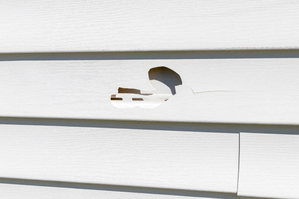 Siding Removal and Disposal in Bellwood, IL